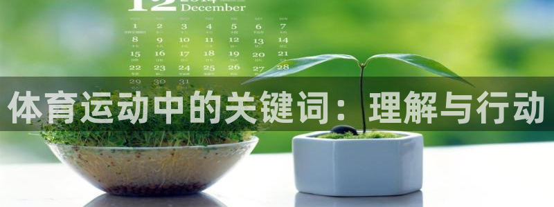 678体育官网地址：体育运动中的关键词：理解与行动