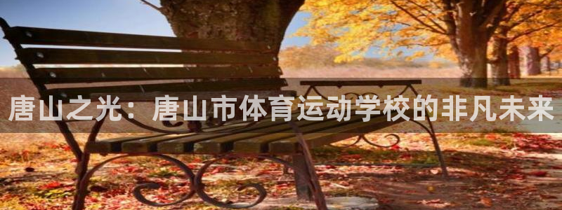 678体育
