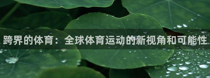 678体育app