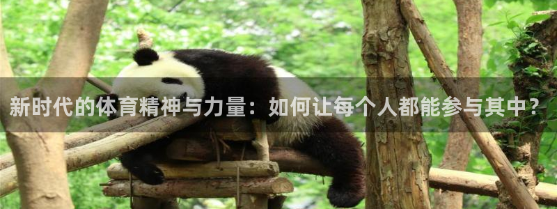 678体育官网下载：新时代的体育精神与力量：如何让每个人都能参与其中？