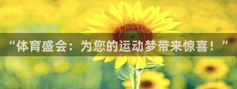 678体育：“体育盛会：为您的运动梦带来惊喜！”