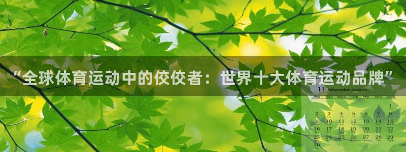 皇冠678体育：“全球体育运动中的佼佼者：世界十大体育运动品牌”