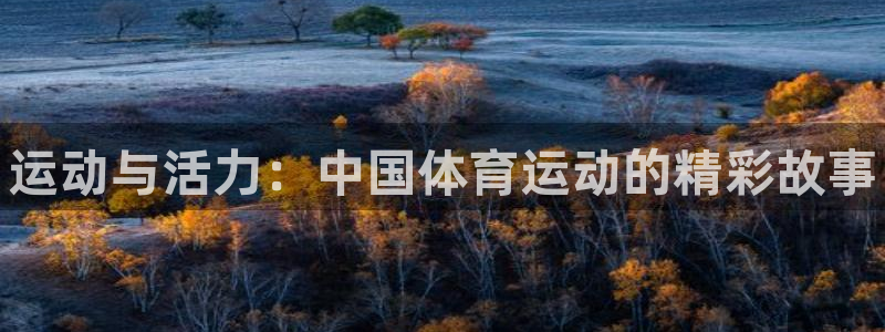 678体育官网：运动与活力：中国体育运动的精彩故事