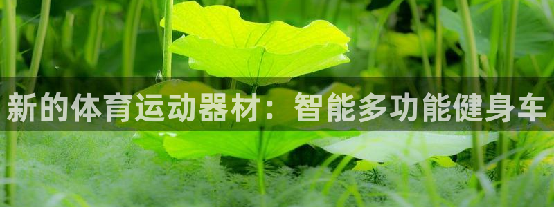 678体育官网下载：新的体育运动器材：智能多功能健身车
