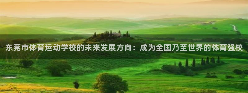 678体育官网下载：东莞市体育运动学校的未来发展方向：成为全国乃至世界的体育强校