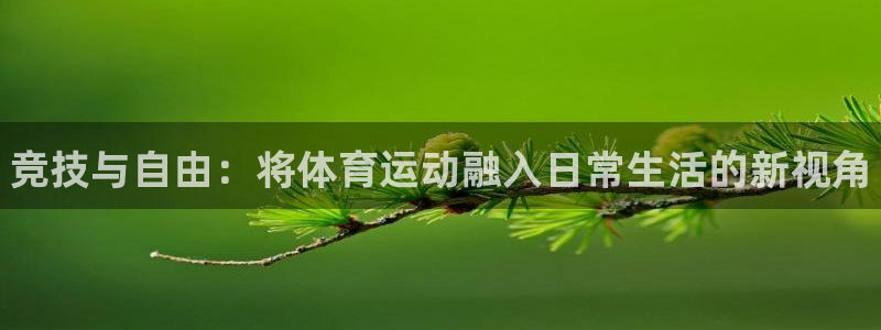 678体育官网地址：竞技与自由：将体育运动融入日常生活的新视角