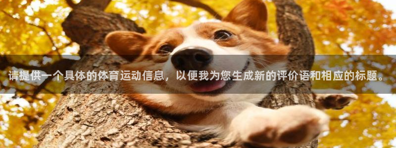 678体育官网地址：请提供一个具体的体育运动信息，以便我为您生成新的评价语和相应的标题。