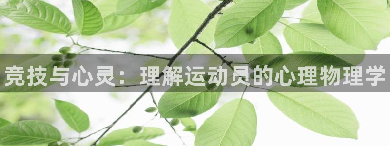678体育：竞技与心灵：理解运动员的心理物理学