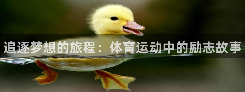 678体育app：追逐梦想的旅程：体育运动中的励志故事