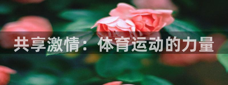 678体育知识：共享激情：体育运动的力量