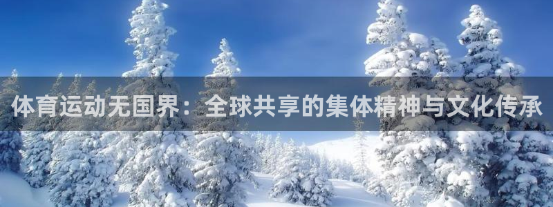 678体育官网：体育运动无国界：全球共享的集体精神与文化传承