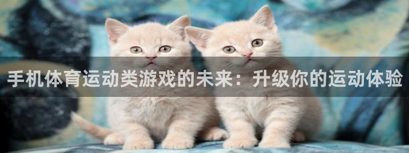 678体育官网下载：手机体育运动类游戏的未来：升级你的运动体验