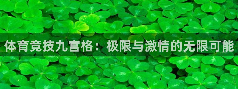 678体育官网地址：体育竞技九宫格：极限与激情的无限可能