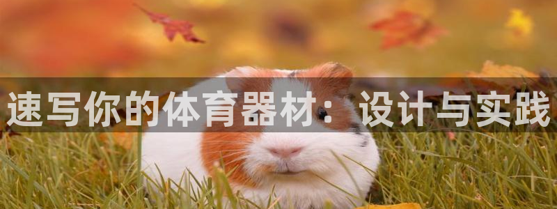 678体育官网下载：速写你的体育器材：设计与实践