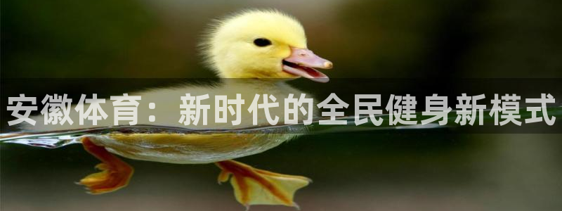 678体育app：安徽体育：新时代的全民健身新模式