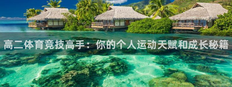 678体育官网下载：高二体育竞技高手：你的个人运动天赋和成长秘籍