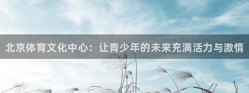 678体育app：北京体育文化中心：让青少年的未来充满活力与激情