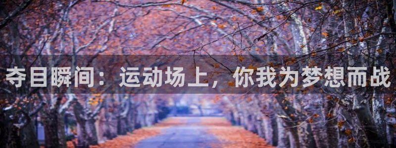 678体育app：夺目瞬间：运动场上，你我为梦想而战