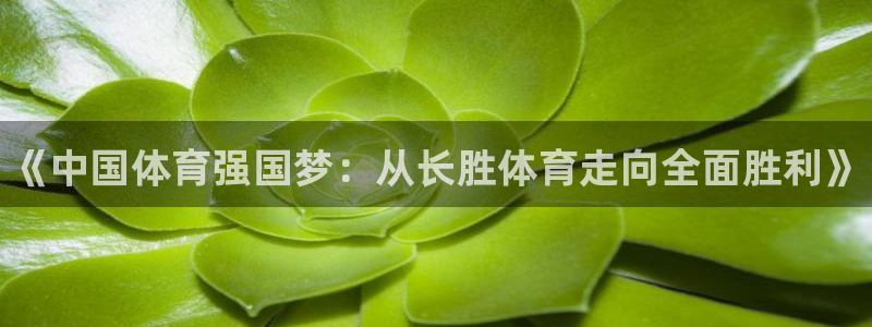皇冠678体育：《中国体育强国梦：从长胜体育走向全面胜利》
