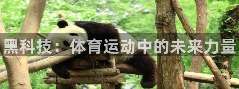 678体育知识：黑科技：体育运动中的未来力量