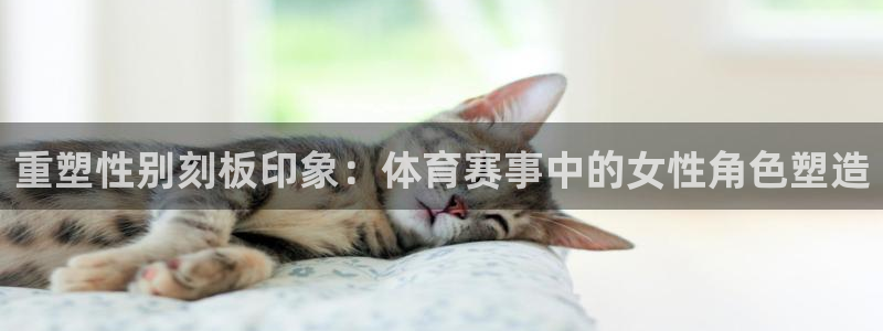 678体育app：重塑性别刻板印象：体育赛事中的女性角色塑造