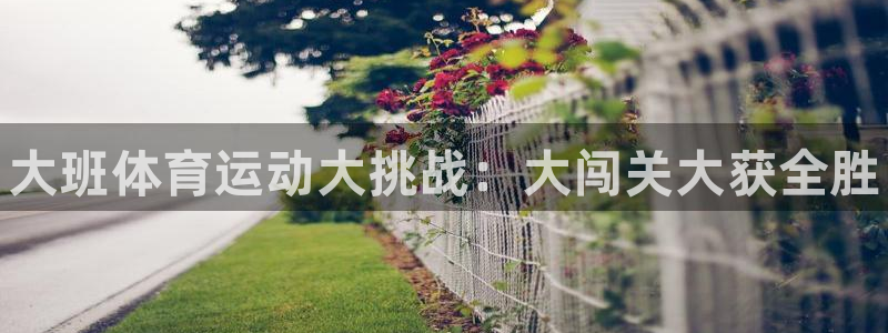 678体育知识：大班体育运动大挑战：大闯关大获全胜