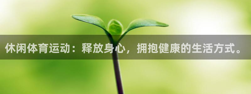 678体育官网：休闲体育运动：释放身心，拥抱健康的生活方式。