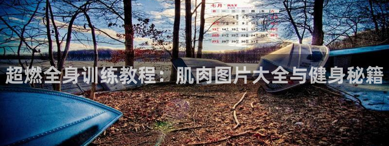 678体育官网地址：超燃全身训练教程：肌肉图片大全与健身秘籍