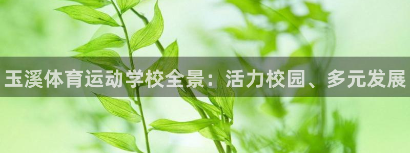 678体育app：玉溪体育运动学校全景：活力校园、多元发展