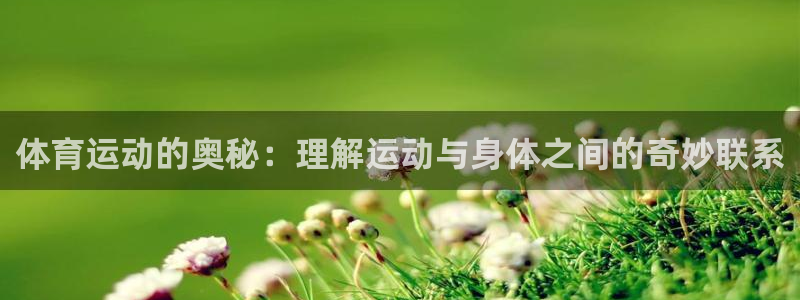 678体育app：体育运动的奥秘：理解运动与身体之间的奇妙联系