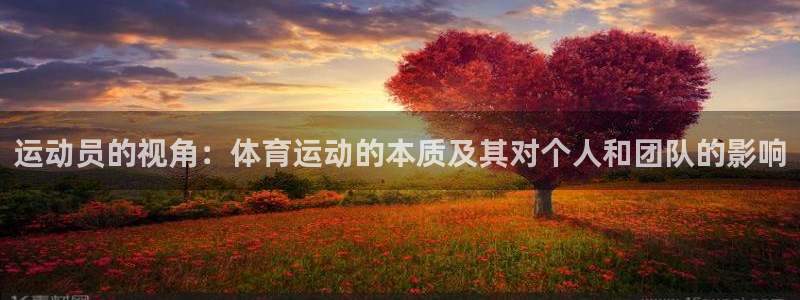 678体育官网：运动员的视角：体育运动的本质及其对个人和团队的影响