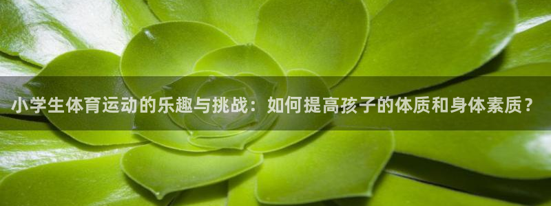 678体育官网下载：小学生体育运动的乐趣与挑战：如何提高孩子的体质和身体素质？