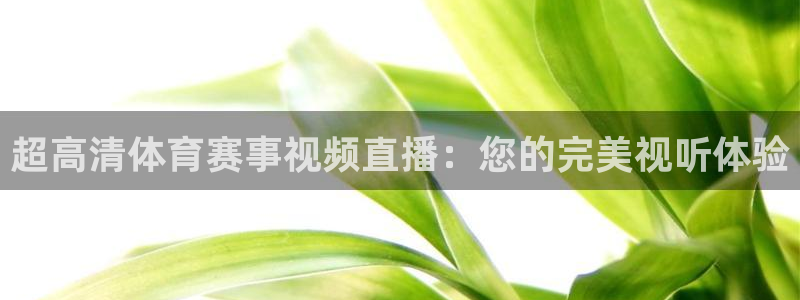 678体育官网地址：超高清体育赛事视频直播：您的完美视听体验