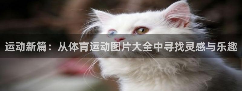 皇冠678体育：运动新篇：从体育运动图片大全中寻找灵感与乐趣