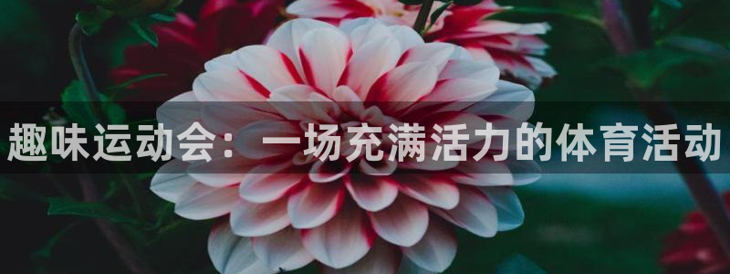 678体育知识：趣味运动会：一场充满活力的体育活动