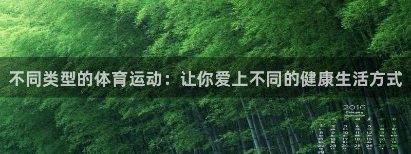 678体育：不同类型的体育运动：让你爱上不同的健康生活方式