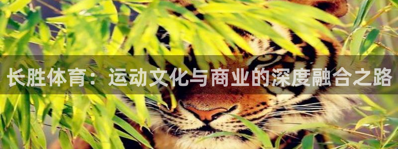 皇冠678体育：长胜体育：运动文化与商业的深度融合之路