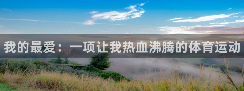 皇冠678体育：我的最爱：一项让我热血沸腾的体育运动