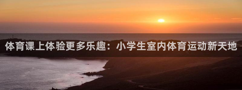 678体育官网下载：体育课上体验更多乐趣：小学生室内体育运动新天地