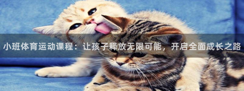 678体育：小班体育运动课程：让孩子释放无限可能，开启全面成长之路