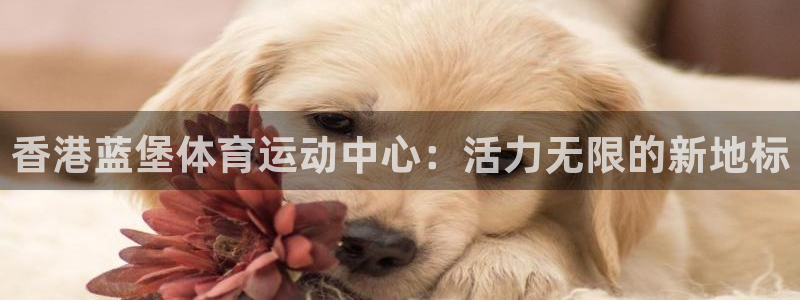 皇冠678体育：香港蓝堡体育运动中心：活力无限的新地标