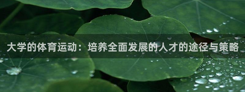 皇冠678体育：大学的体育运动：培养全面发展的人才的途径与策略