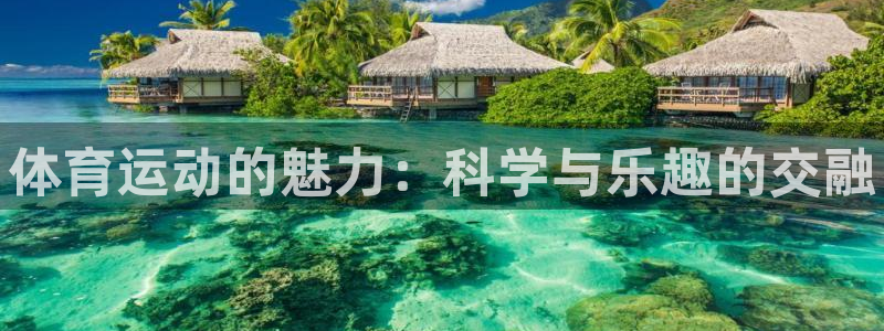 678体育官网下载：体育运动的魅力：科学与乐趣的交融
